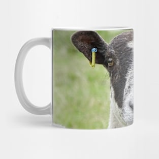 Ewe Lookin At Me? Mug